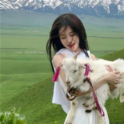 在首领猎人的土地上
